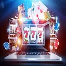 bwin66