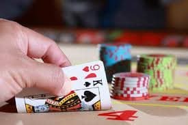 bwin66