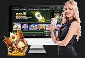 bwin66